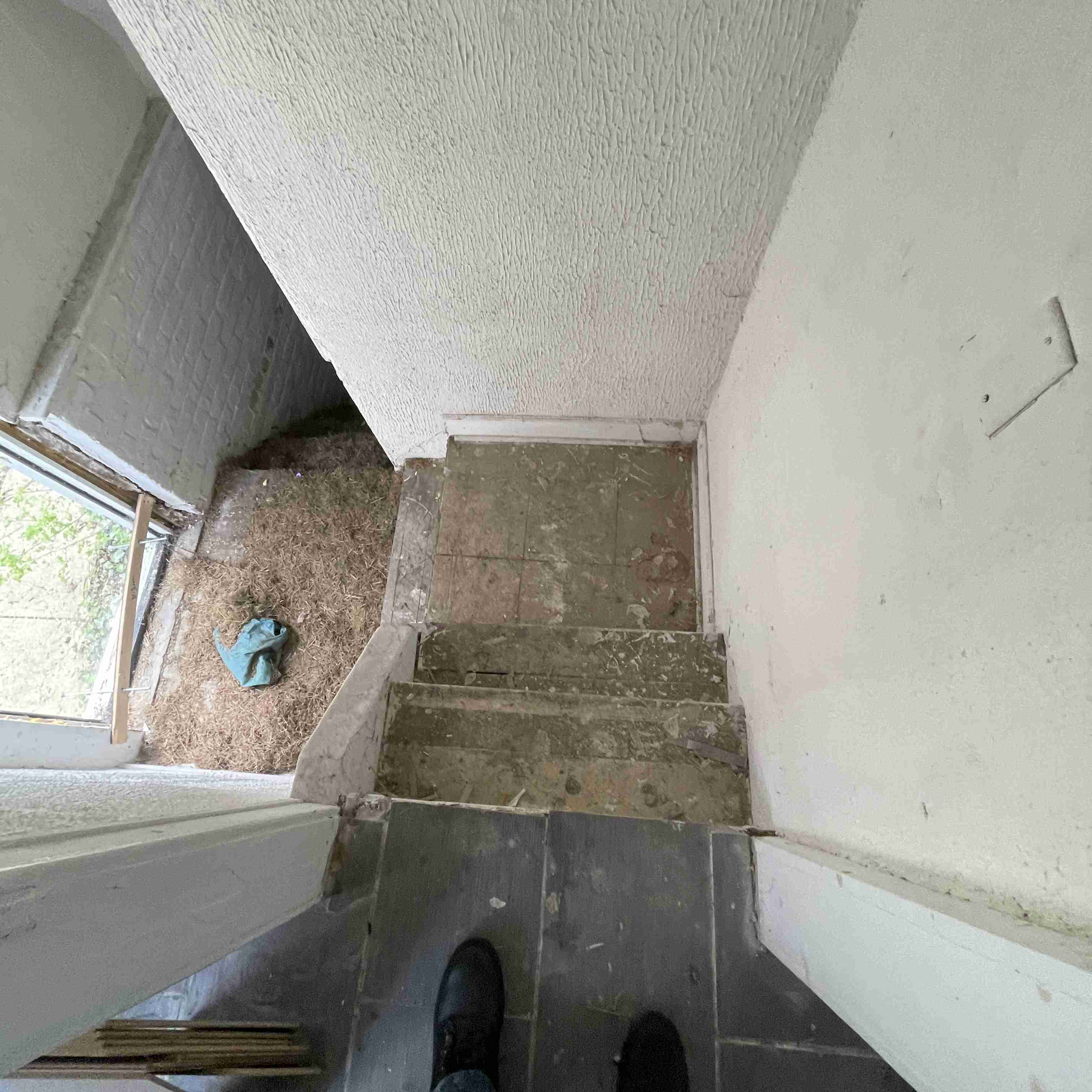 18653 Westphalia (67).jpg